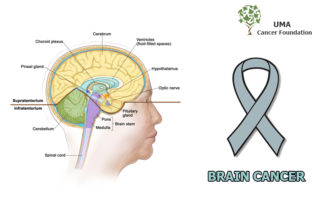Brain_Cancer